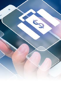 Consumer Electronic Products